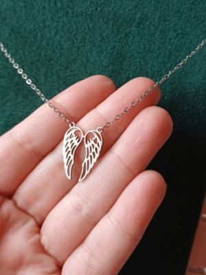Colar Asas de Anjo Prateado