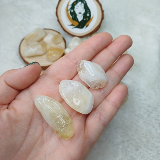 CRR004_1 Citrino Rolado (2-3cm)