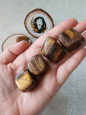 Olho de Tigre Rolado (2-3cm)