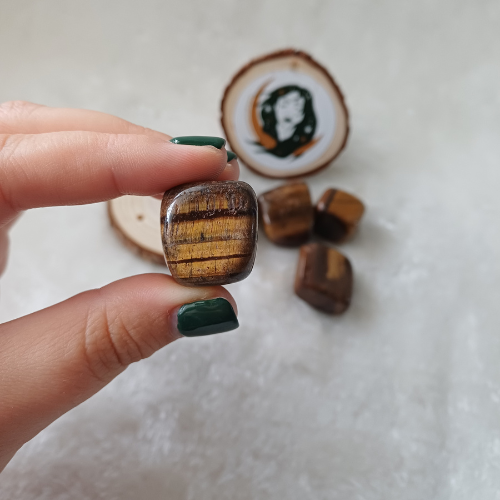 Olho de Tigre Rolado (2-3cm)