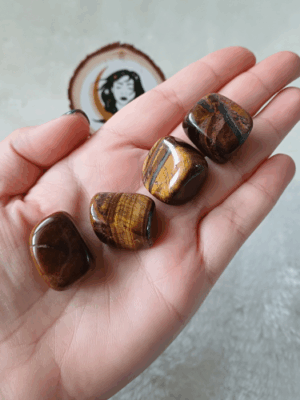 Olho de Tigre Rolado (1-2cm)