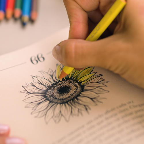 Livro - 111 Mensagens para a Sua Alma